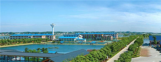 專業巡檢，熱心服務!華全發電機組助力養殖企業溫暖過冬!